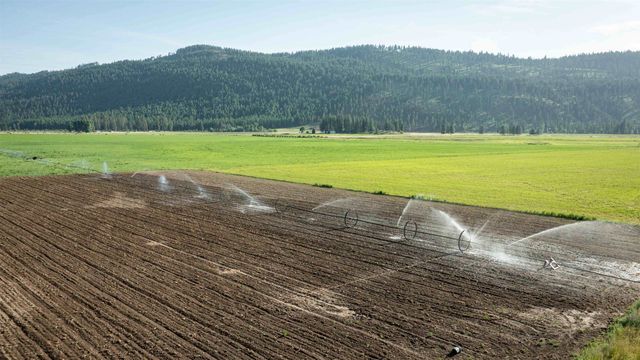 820 Echo Stub Rd, Colville, WA 99114