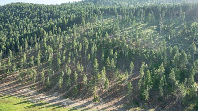 820 Echo Stub Rd, Colville, WA 99114