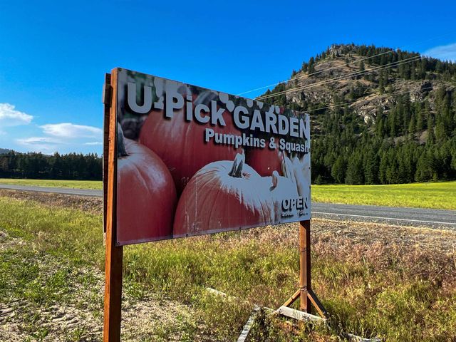 820 Echo Stub Rd, Colville, WA 99114