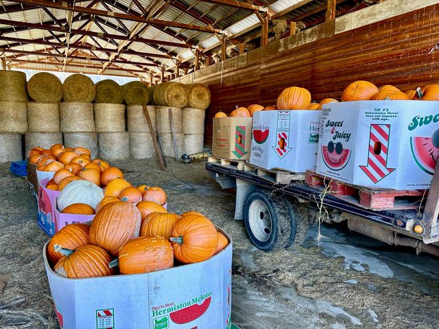 820 Echo Stub Rd, Colville, WA 99114