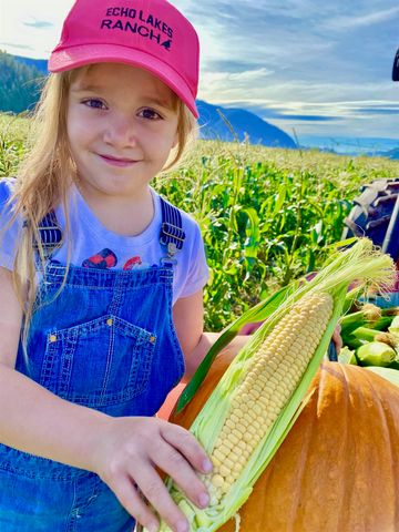 820 Echo Stub Rd, Colville, WA 99114