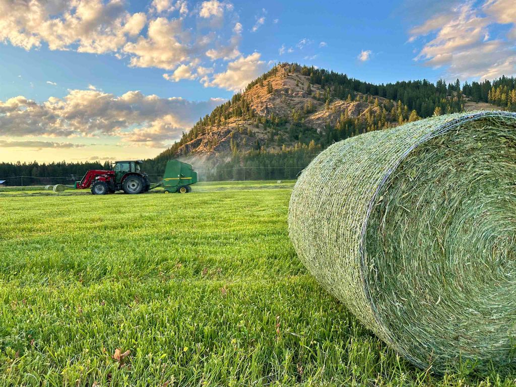 820 Echo Stub Rd, Colville, WA 99114 photo 11