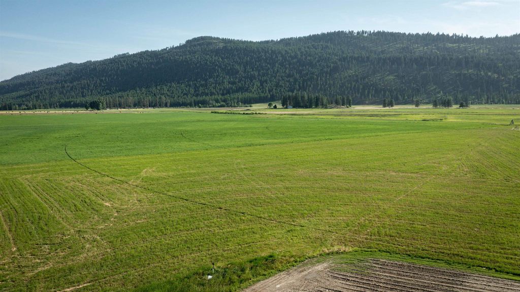 820 Echo Stub Rd, Colville, WA 99114 photo 29