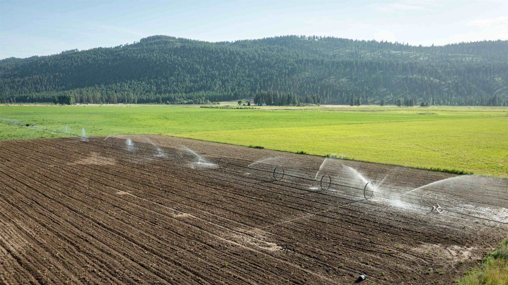 820 Echo Stub Rd, Colville, WA 99114 photo 30