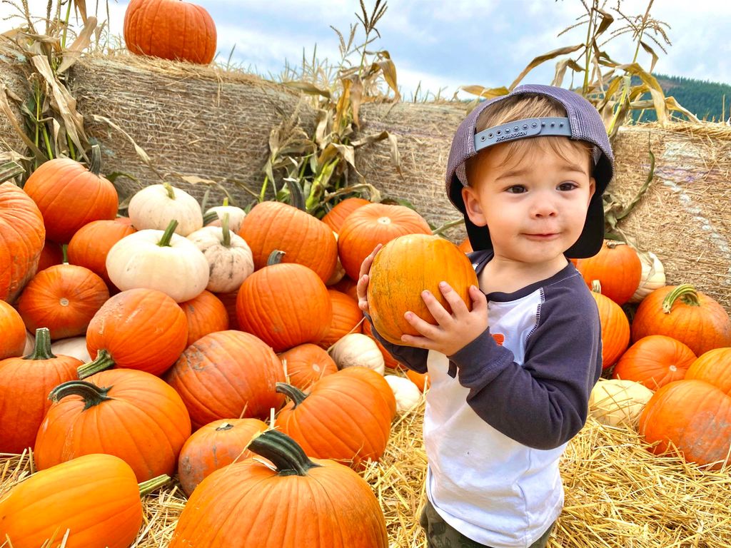 820 Echo Stub Rd, Colville, WA 99114 photo 38