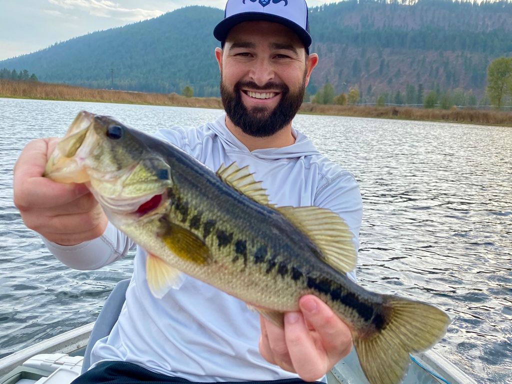 820 Echo Stub Rd, Colville, WA 99114 photo 41