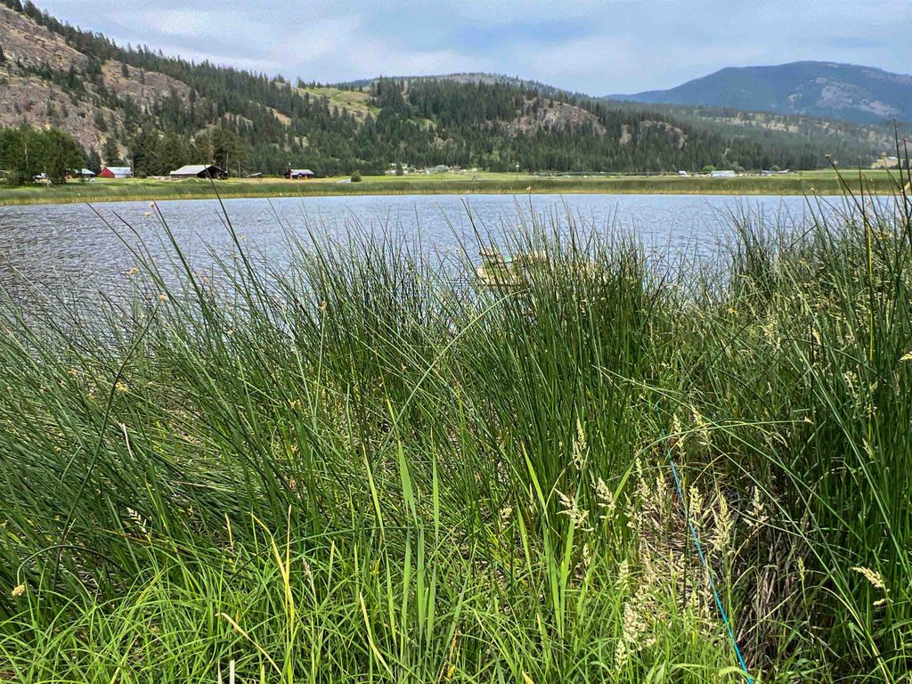 820 Echo Stub Rd, Colville, WA 99114 photo 6