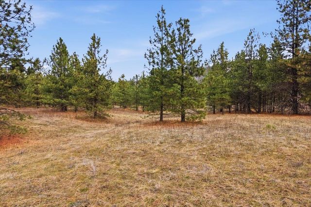 65xx Whispering Pines Way, Nine Mile Falls, WA 99026