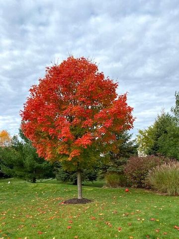 W283N6297 Hibritten WAY, Hartland, WI 53029