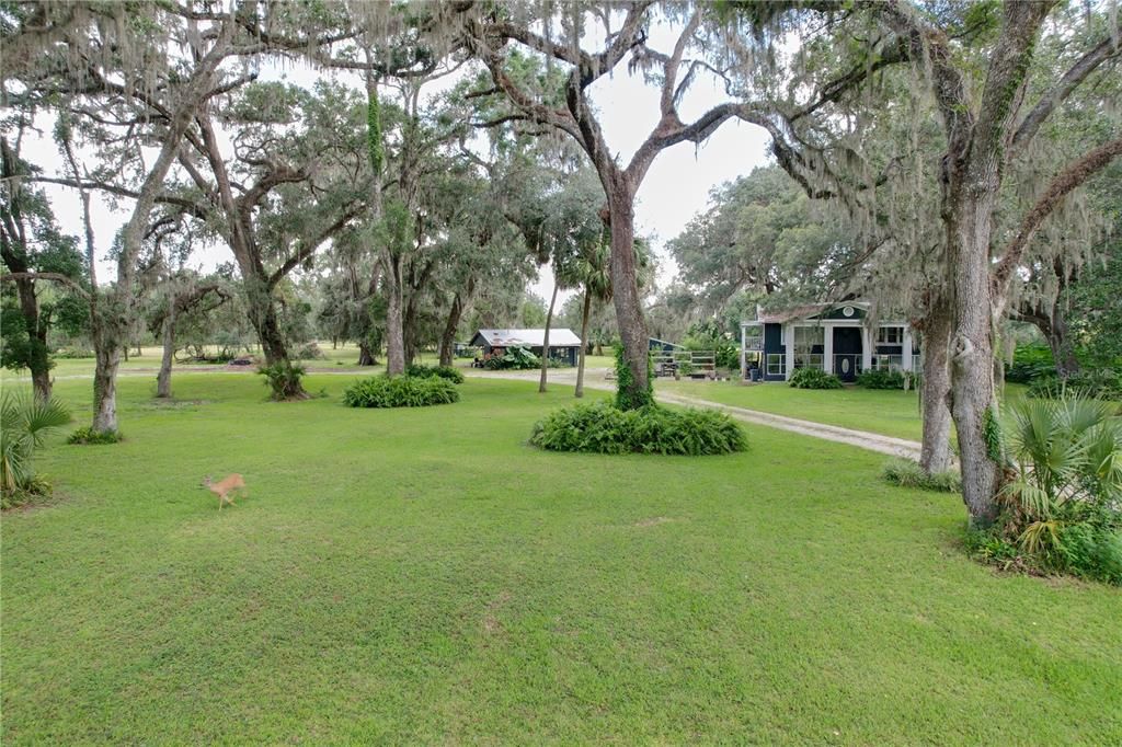 Image 4 of property listing at 2740 SATURN ROAD, Brooksville, FL 34604