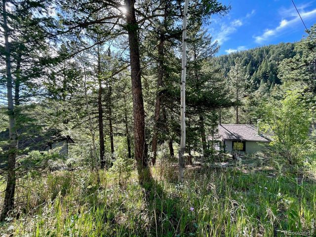 10763 Twin Spruce Road, Golden, CO 80403