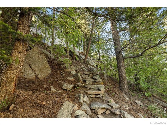 10763 Twin Spruce Road, Golden, CO 80403