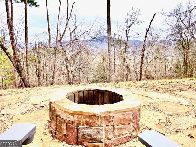 6341 W Laurel Lane, Young Harris, GA 30582