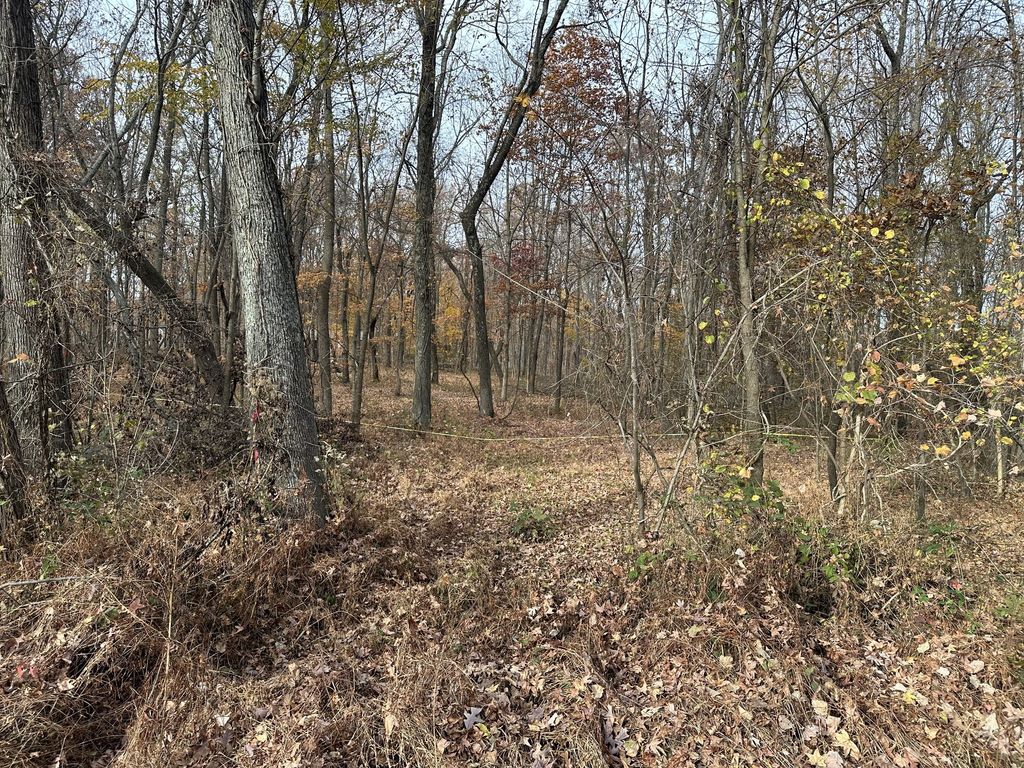 0 Bethlehem Rd, Springfield, TN 37172