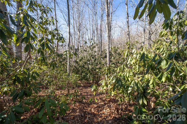 2310 Golf Club Court, Hendersonville, NC 28739