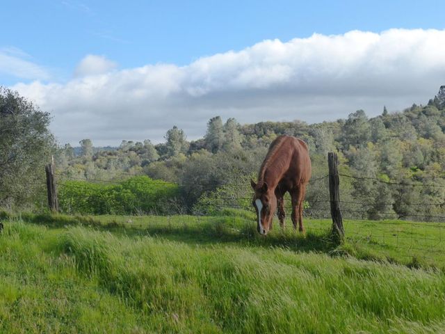 7357 Ridge Rd, Newcastle, CA 95658