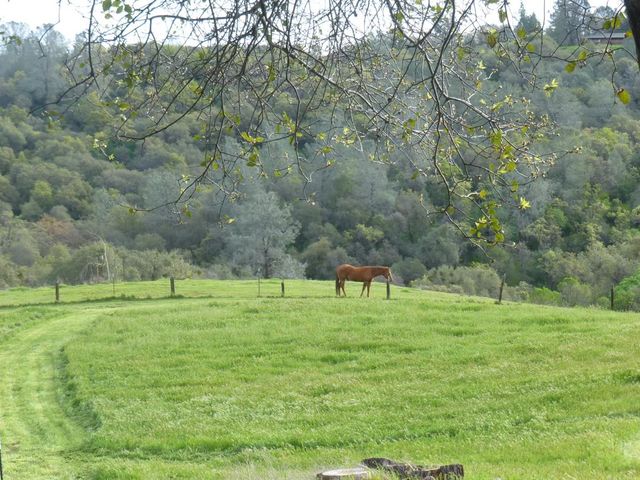 7357 Ridge Rd, Newcastle, CA 95658