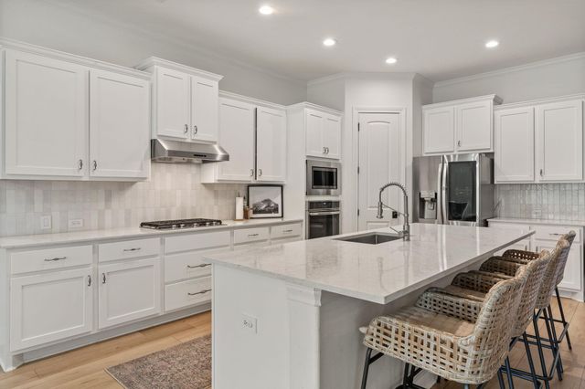 224 Magnolia Blossom CV, Driftwood, TX 78619