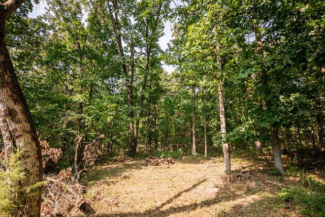 4011 Farm Road 34 E, Fair Grove, MO 65648