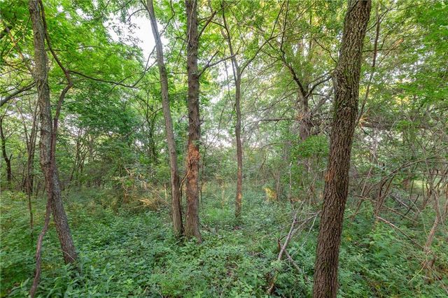 33200 E hammond Road, Lone Jack, MO 64070