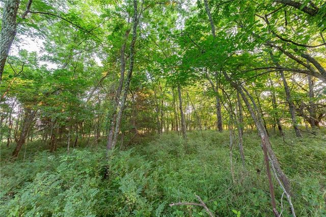 33200 E hammond Road, Lone Jack, MO 64070