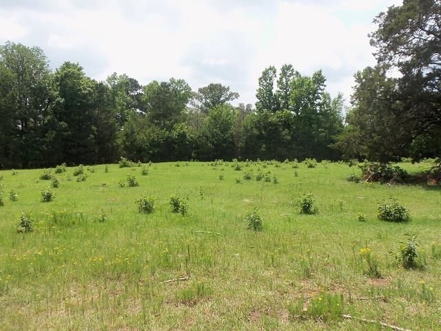 3813 E CR 176, Kilgore, TX 75662