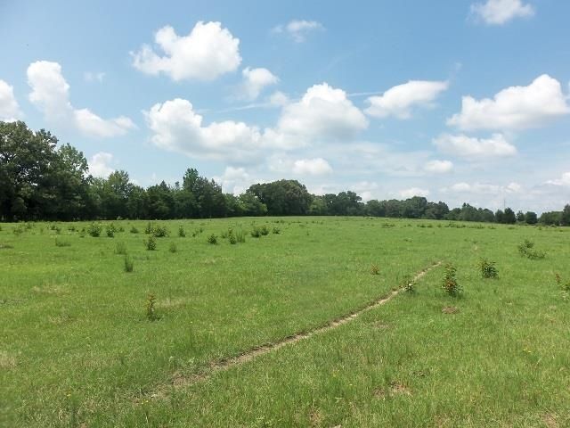 3813 E CR 176, Kilgore, TX 75662