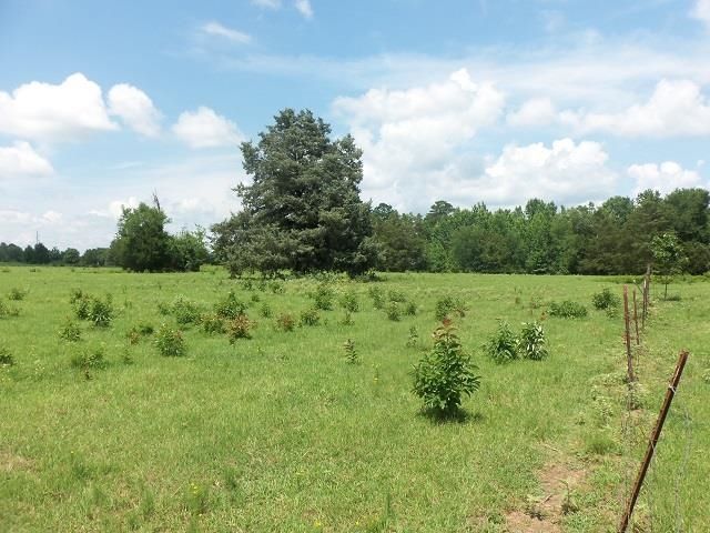 3813 E CR 176, Kilgore, TX 75662