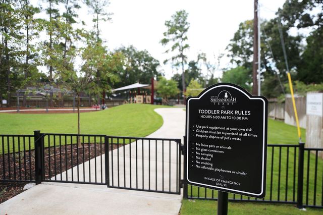 719 Thornwood Drive, Shenandoah, TX 77381