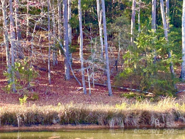 000 Shagbark Court, Mount Gilead, NC 27306