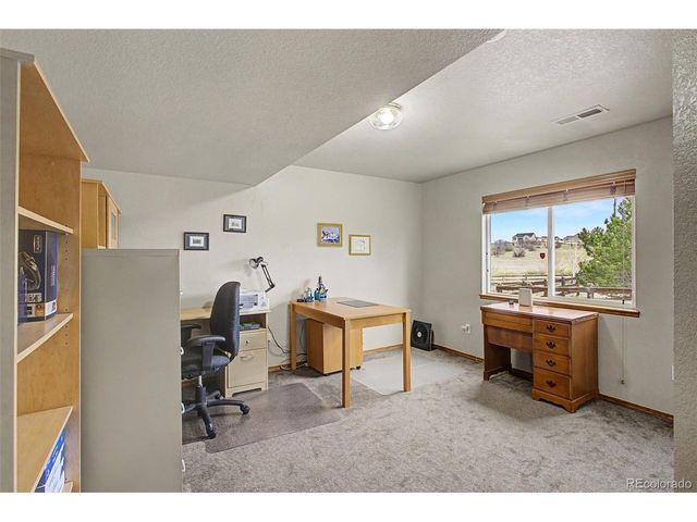 578 Larimer Creek Dr, Monument, CO 80132