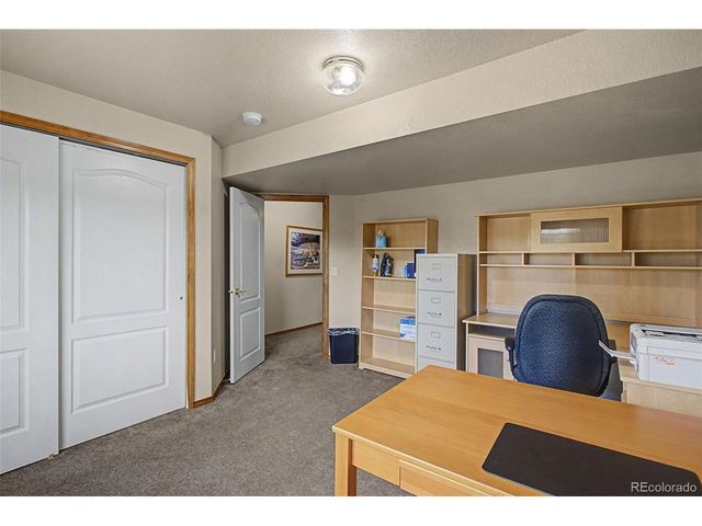 578 Larimer Creek Dr, Monument, CO 80132
