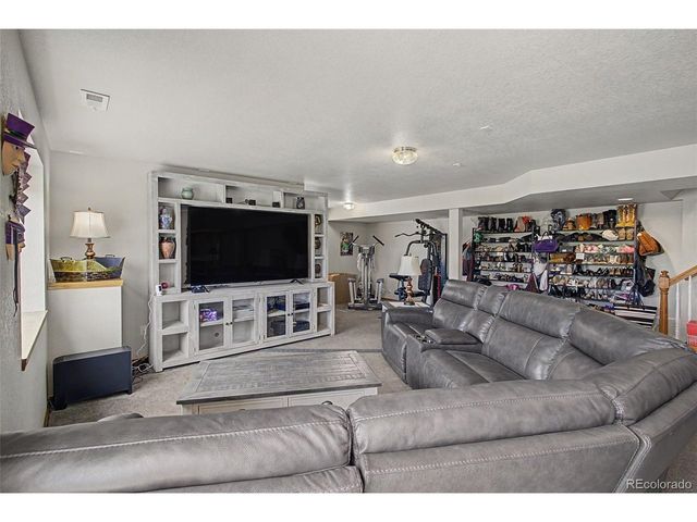 578 Larimer Creek Dr, Monument, CO 80132