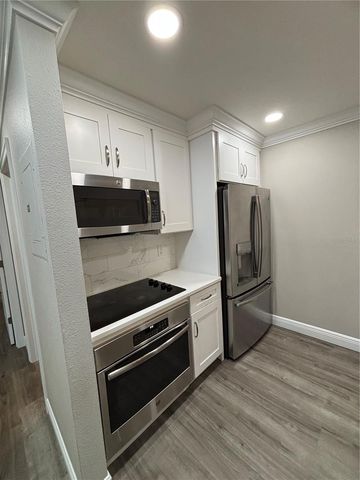 14207 SHADOW MOSS LANE 202, Tampa, FL 33613