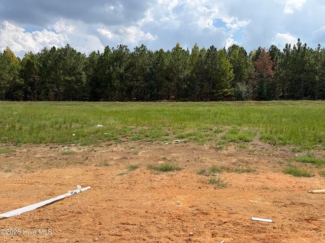 431 Thorntons Creek Drive, Erwin, NC 28339