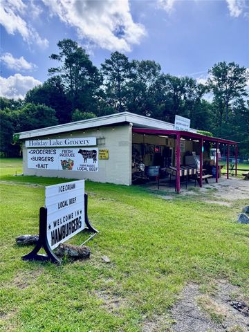 479 County Road, Goodrich, TX 77335