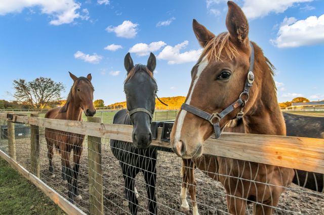 2942 Spanntown Rd, Arrington, TN 37014