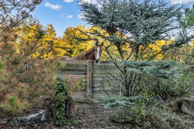 2942 Spanntown Rd, Arrington, TN 37014