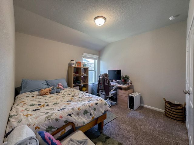 19115 Shoreside Terrace Drive, Manvel, TX 77578