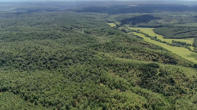 0 Big Opposum Creek Rd, Waynesboro, TN 38485
