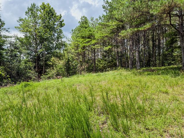 0 Big Opposum Creek Rd, Waynesboro, TN 38485