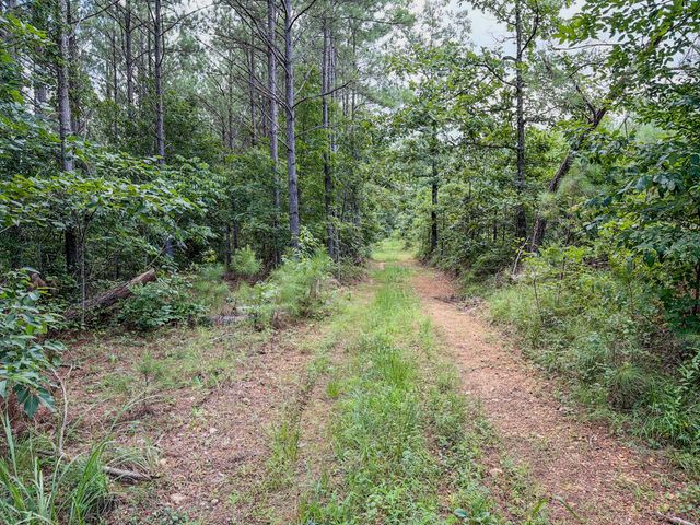 0 Big Opposum Creek Rd, Waynesboro, TN 38485