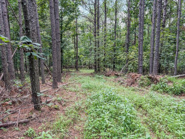0 Big Opposum Creek Rd, Waynesboro, TN 38485