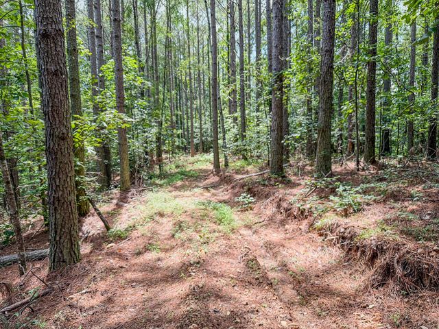 0 Big Opposum Creek Rd, Waynesboro, TN 38485