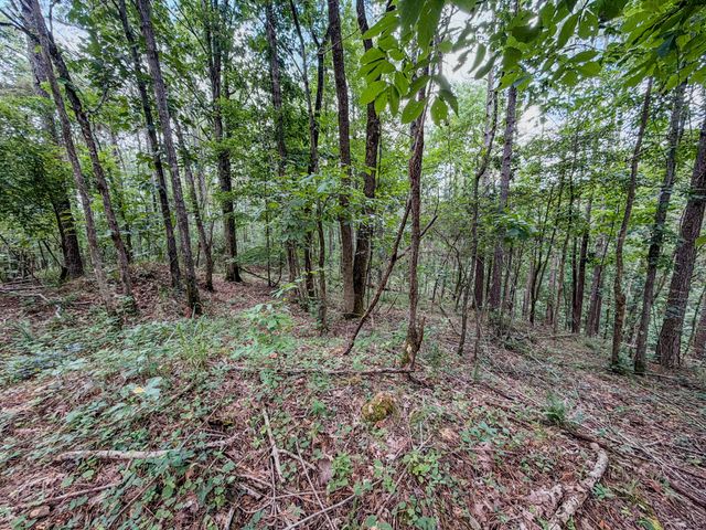 0 Big Opposum Creek Rd, Waynesboro, TN 38485
