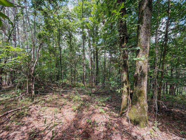 0 Big Opposum Creek Rd, Waynesboro, TN 38485