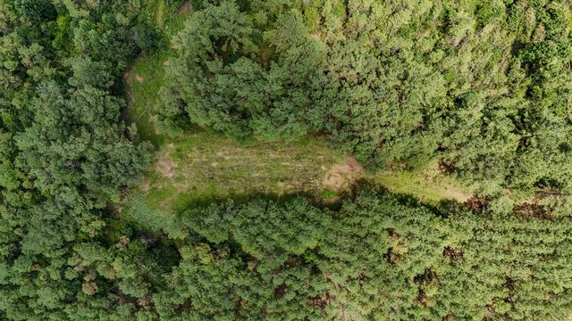 0 Big Opposum Creek Rd, Waynesboro, TN 38485