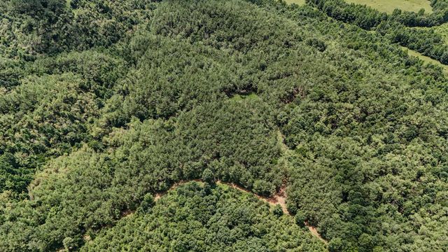 0 Big Opposum Creek Rd, Waynesboro, TN 38485