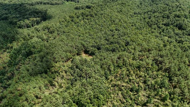 0 Big Opposum Creek Rd, Waynesboro, TN 38485