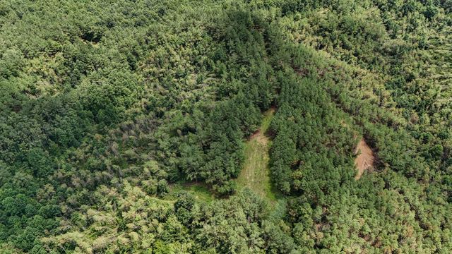 0 Big Opposum Creek Rd, Waynesboro, TN 38485